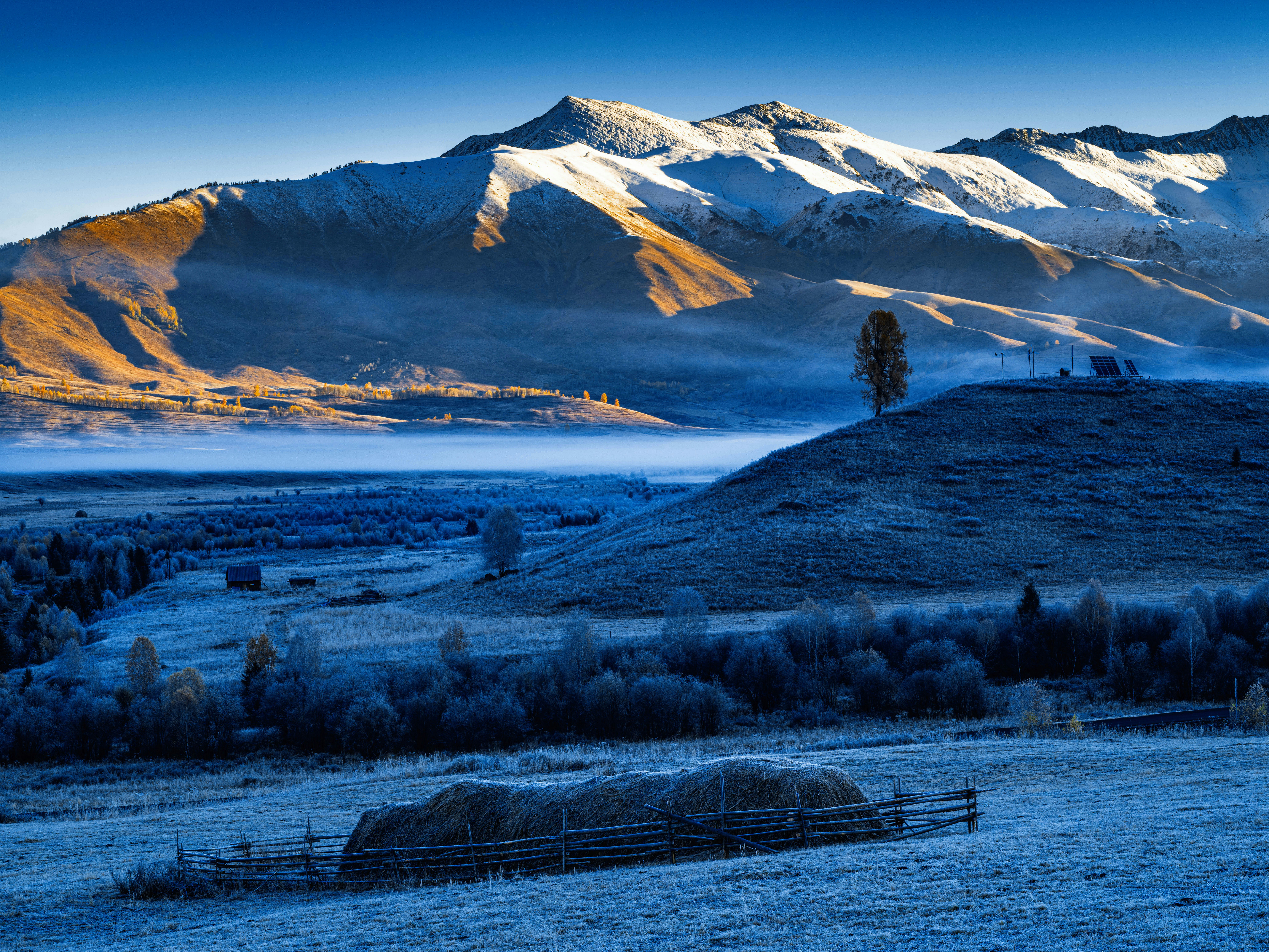 减肥药物新革命：月费350元能减重？医生揭秘减肥药市场真相